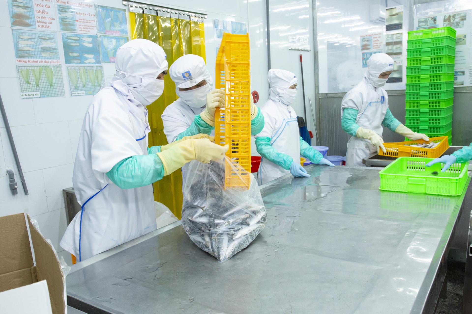Food products being prepared for packing