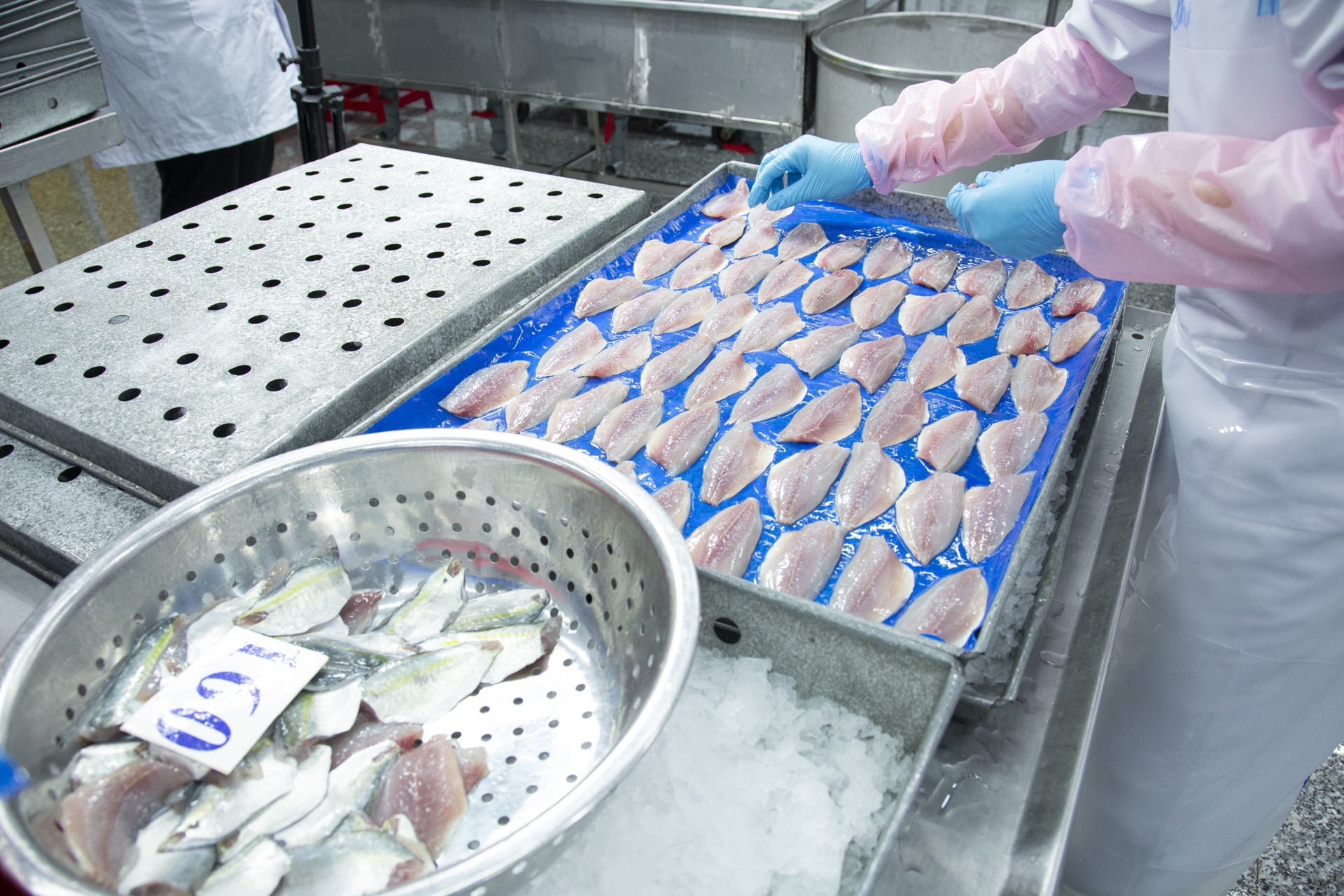 Prepared fish fillets in a seafood facility