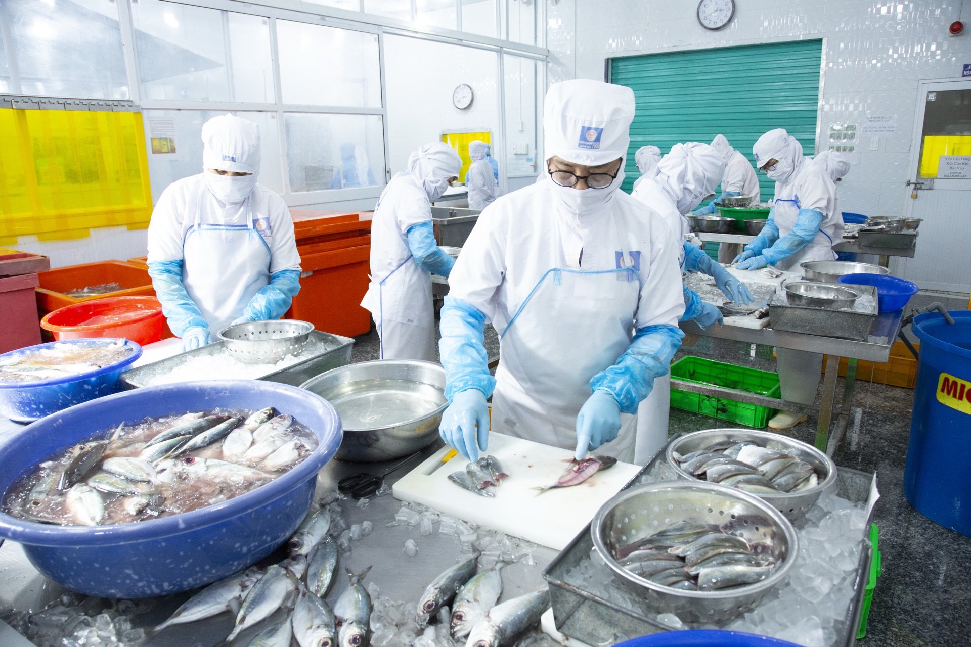 DA food processing team at work in Vietnam